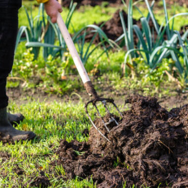 How to Use Vermicompost for Organic Gardening: A Complete Guide